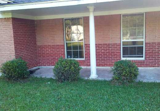 Maria: Angleton, Texas, USA. (4 x Old English Red kits)